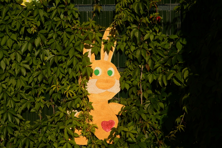 Image-normal