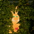 Image-square_50