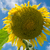 Image-square_50