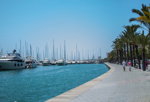 Image-preview_300x200