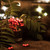 Image-square_50