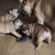 Image-square_50