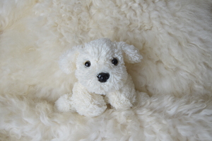 Image-preview_300x200