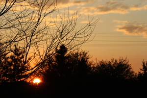 Image-preview_300x200