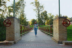Image-preview_300x200