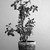 Image-square_50