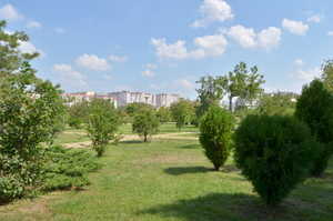 Image-preview_300x200