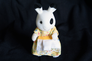 Image-preview_300x200