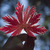 Image-square_50
