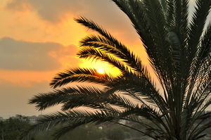 Image-preview_300x200