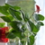Image-square_50