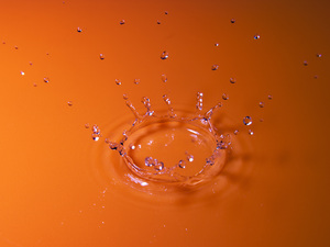 Image-preview_300x200