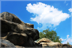 Image-preview_300x200