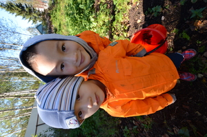 Image-preview_300x200