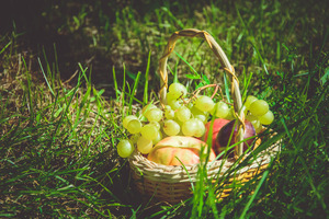 Image-preview_300x200