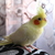 Image-square_50
