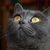 Image-square_50