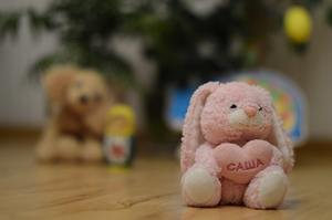 Image-preview_300x200