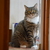 Image-square_50
