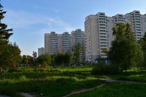 Image-preview_300x200