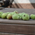 Image-square_50