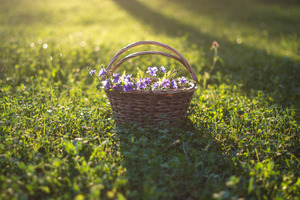 Image-preview_300x200
