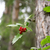 Image-square_50