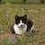 Image-square_50
