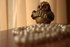 Image-preview_300x200