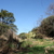 Image-square_50