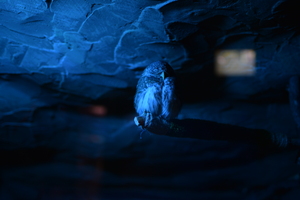 Image-preview_300x200