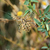 Image-square_50