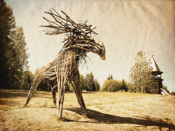 Image-normal