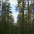 Image-square_50