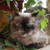 Image-square_50