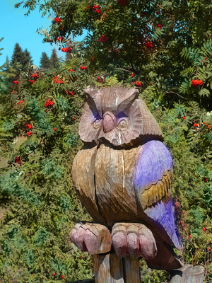 Image-preview_300x200