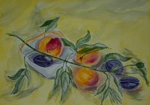 Image-preview_300x200