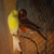 Image-square_50