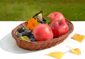Image-preview_300x200