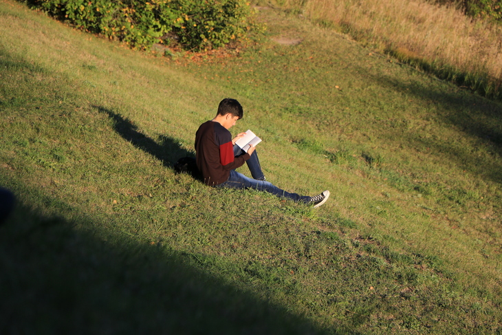 Image-normal