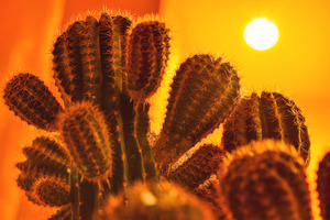 Image-preview_300x200