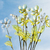 Image-square_50
