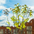 Image-square_50