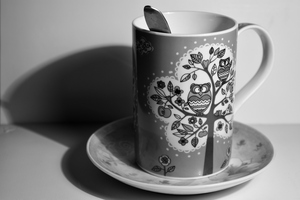 Image-preview_300x200