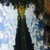 Image-square_50