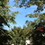 Image-square_50