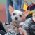 Image-square_50