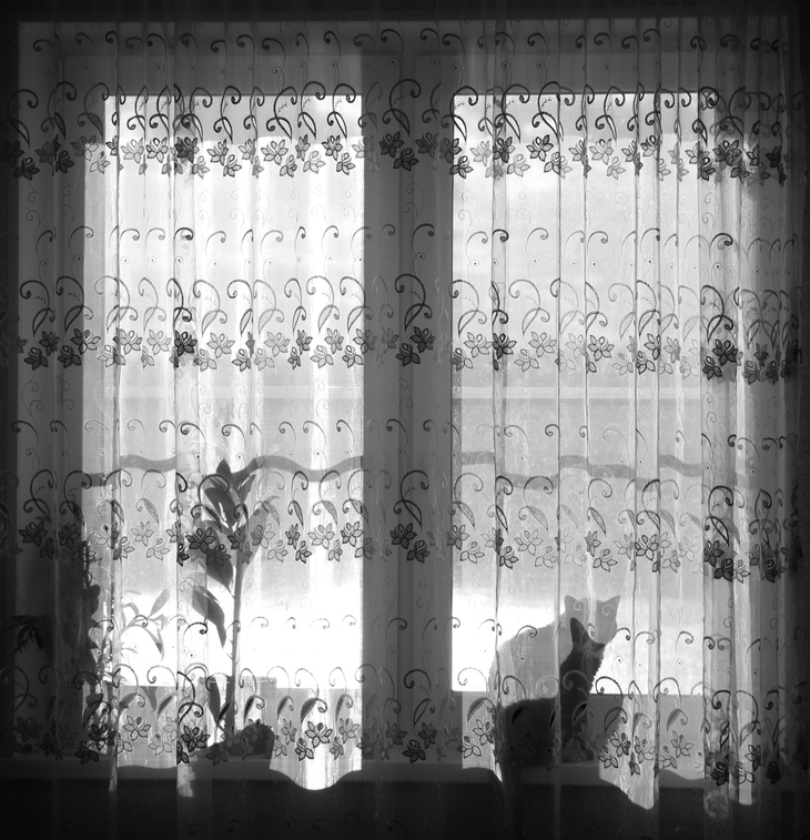 Image-normal