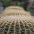 Image-square_50