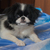 Image-square_50